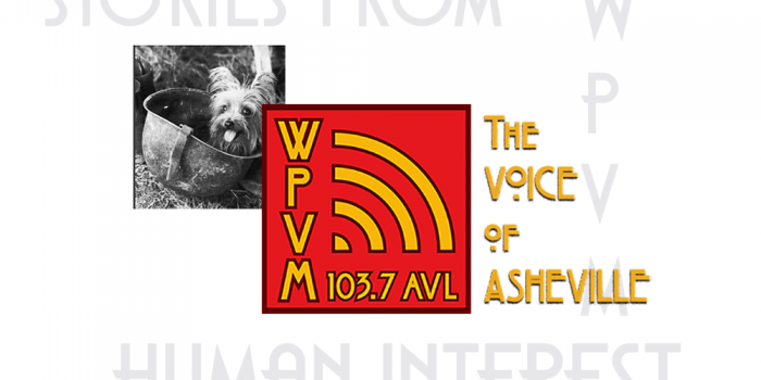 Smokey – smallest war hero Smokey - smallest war hero