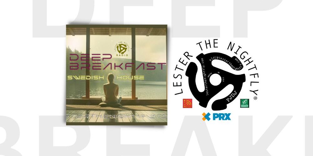 SWEDISH HOUSE MUSIC | LESTER THE NIGHTFLY SWEDISH HOUSE MUSIC | LESTER THE NIGHTFLY