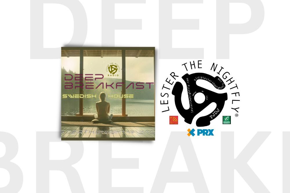 SWEDISH HOUSE MUSIC | LESTER THE NIGHTFLY